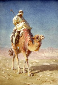 A Bedaween on a Camel