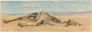 In the Desert