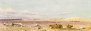 Sand Hills in the Desert, Cairo, Suez