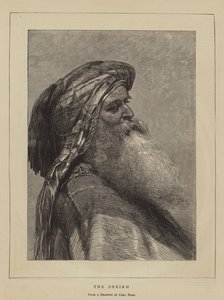 The Sheikh