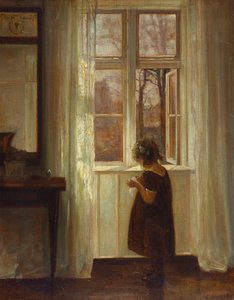 A Girl Standing at a Window