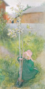 Appleblossom by Carl Larsson