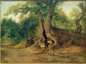 Grove near Ariccia with Holm Oaks