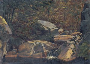Forest Stream (Waterfall between Boulders) by Carl Morgenstern