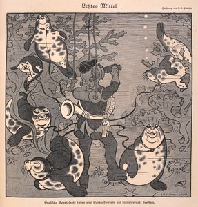 Last resort. A diver with seals; underwater scene by Carl Olof Petersen