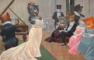 Humorous Cat Postcard