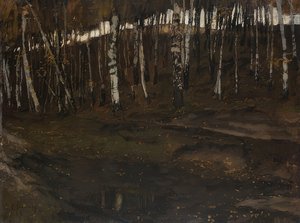 Birch Forest