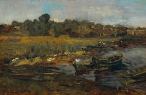 Reed Landscape at Schwielowsee with Ducks