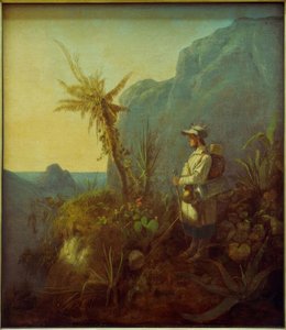 The Naturalist in the Tropics