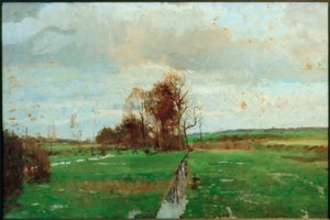 Wet Meadows