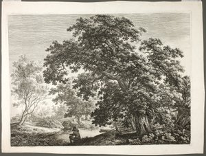 Fisherman in Wooded Landscape