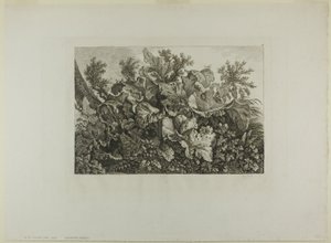 Swamp Plants