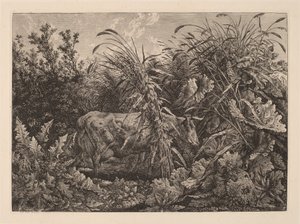The Cow in the Swamp