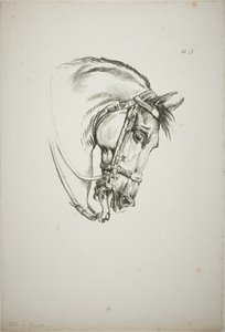 Detail of Horse