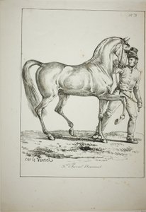 Royal Guard, Norman Cavalier, not in Full Dress, and Horse, No. 3 by Carle Vernet