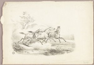 Three Horses Running