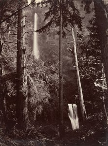 Multnomah Falls, Oregon by Carleton Emmons Watkins