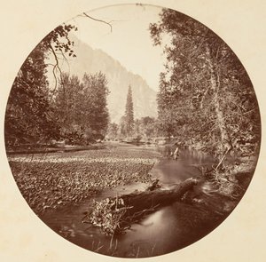 Yosemite National Park, California, ca. 1878 by Carleton Emmons Watkins