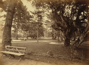 Monterey, California. Hotel Del Monte, Lawn View.