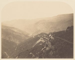 Pine Tree Mine by Carleton Watkins