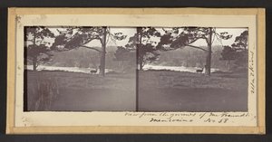 View from the Grounds of Mr. Freundt, Mendocino