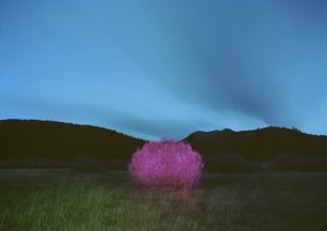 Painting in the Dark, 2015