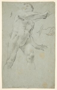 Male Nude