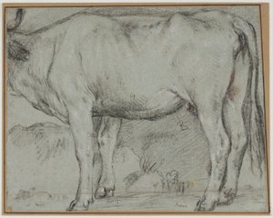 Standing Cow (head missing) by Carlo Caliari
