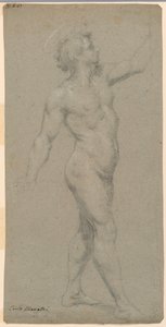 Studies of a Male Nude