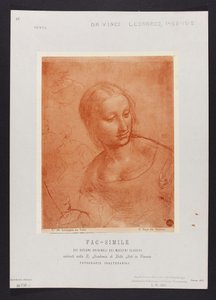 Study of a Female Bust, drawing by Leonardo da Vinci (1452-1519) from the collection of R. Accademia di Belle Arti in Venice; plate from the portfolio: "Fac-simile of the original drawings of classical masters existing in the R. Academia di Belle Arti in V by Carlo Naya