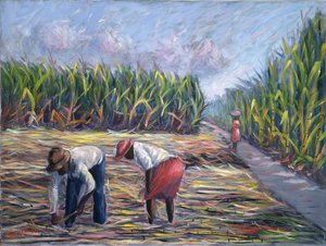 Sugarcane Harvest, 1986