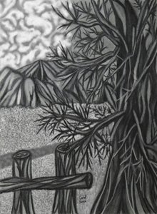Digital Charcoal Drawing 2
