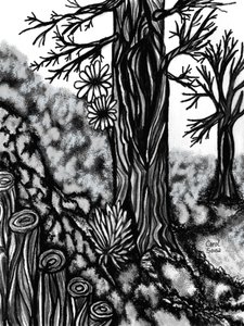 Digital Charcoal Drawing 1