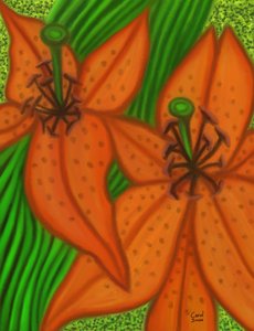 Two Lilies