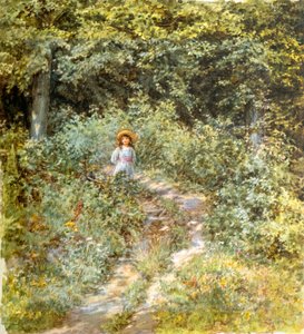 The Path through the Wood