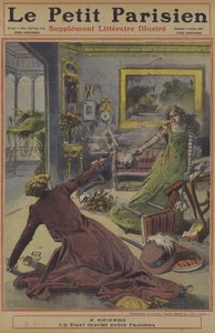 Deadly Duel Between Two Women in Chicago