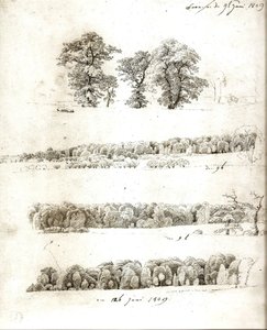 Tree Studies 1809 by Caspar David Friedrich
