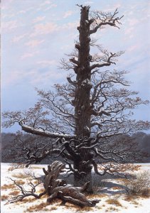 The Oaktree in the Snow by Caspar David Friedrich