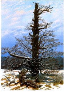 The Oak Tree in the Snow by Caspar David Friedrich