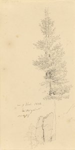 Study of Spruce Trees and a Rock by Caspar David Friedrich