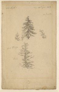 Two Studies of Fir Trees by Caspar David Friedrich