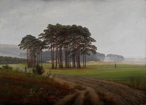 The Times of Day: The Midday by Caspar David Friedrich
