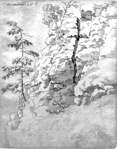 Rocky Slope with Trees by Caspar David Friedrich