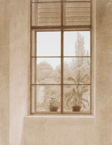 Window Looking over the Park