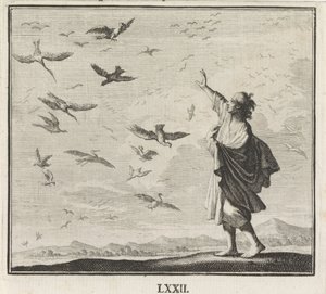 Emblem: Birds by Caspar Luyken