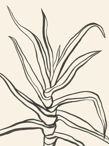 Minimalist Plant Outline