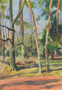 Sunlit Forest Path by Catalina Somolinos