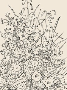 Wild Garden Flowers by Catalina Somolinos