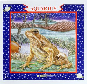Aquarius