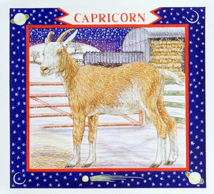 Capricorn